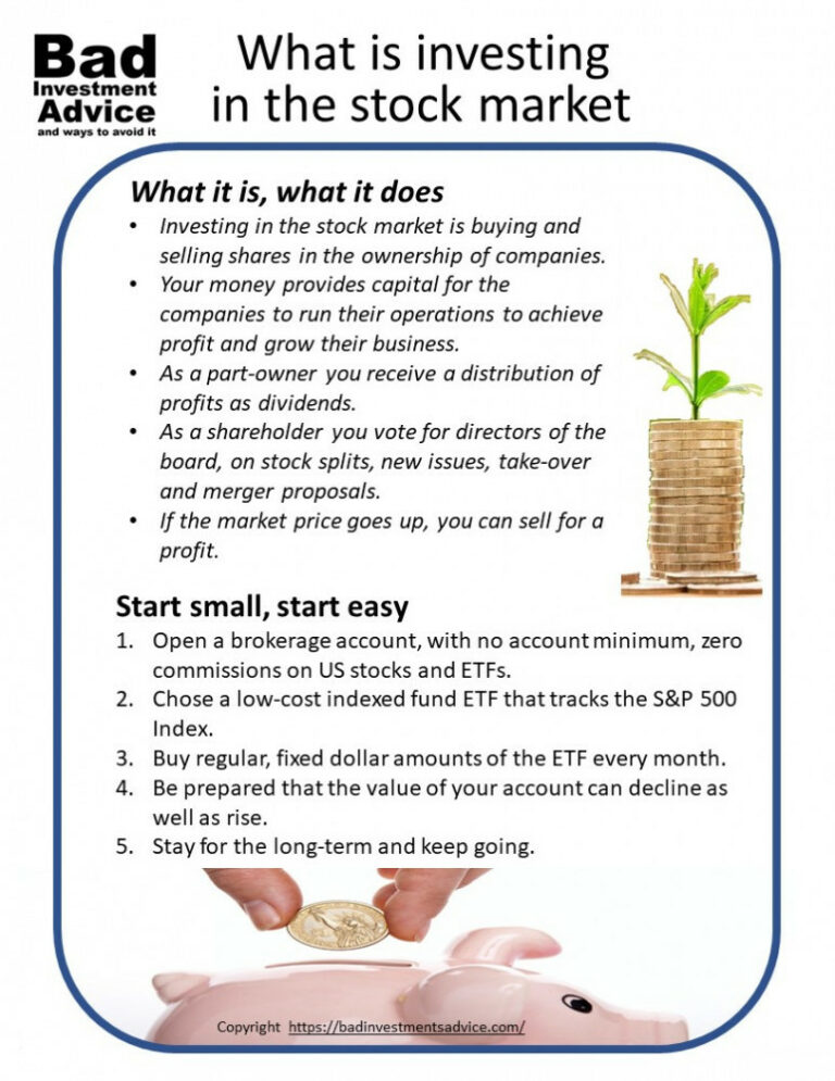 whatisinvestinginthestockmarketsummarypdf Bad Investment Advice