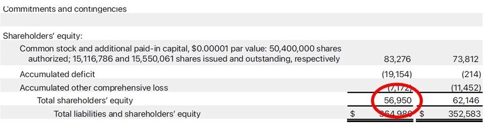 Apple Inc. shareholder equity